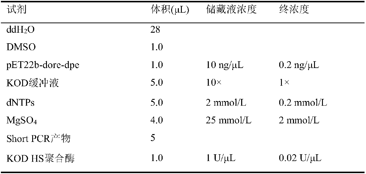 D-psicose 3-epimerase mutant with improved catalytic efficiency