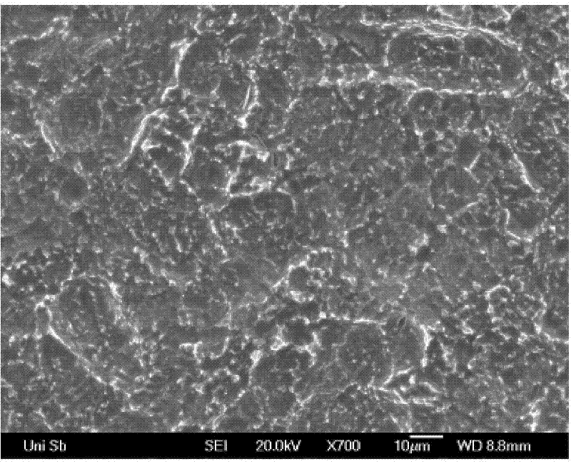 Electrode for producing chlorine through electrolysis