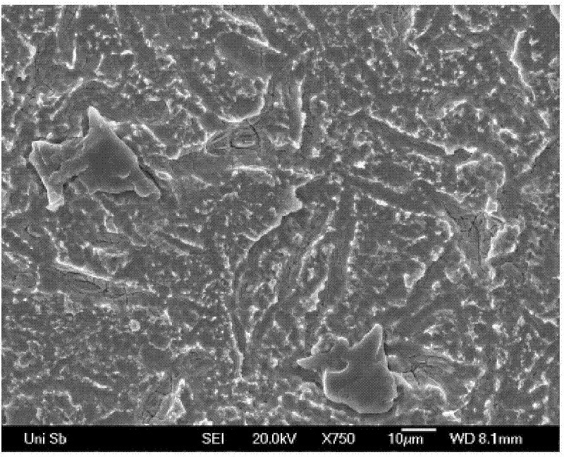 Electrode for producing chlorine through electrolysis