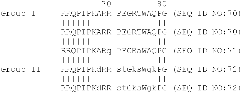 Chimera antigen peptide