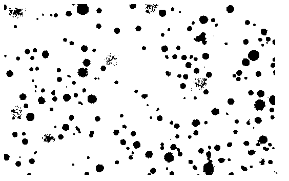 Method for preparing single embryo chromosome of flounder fish