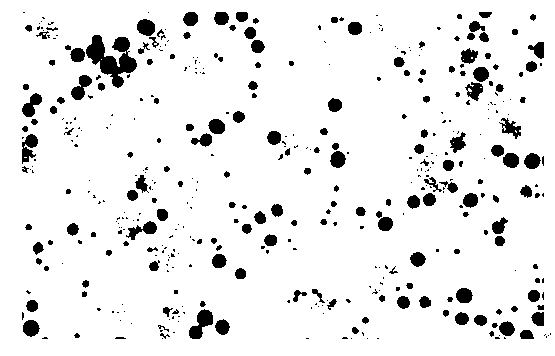 Method for preparing single embryo chromosome of flounder fish