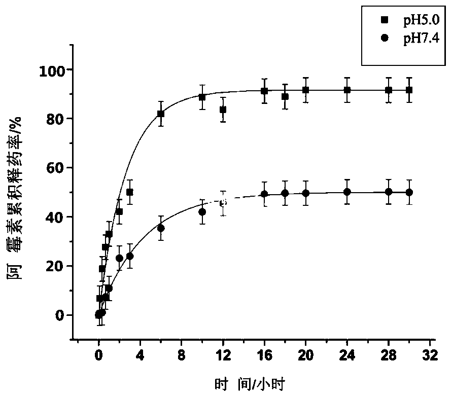 A magnetically targeted nano-diamond drug and its preparation method and application