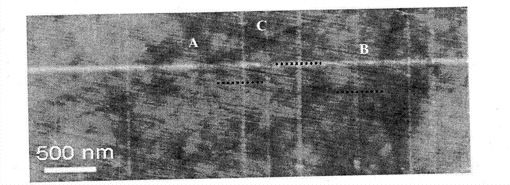 Method for preparing oriented graphene nanoribbon (GNR) array