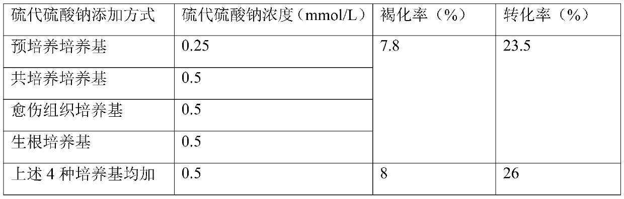 Method for reducing browning and improving genetic transformation rate of agrobacterium-mediated castor