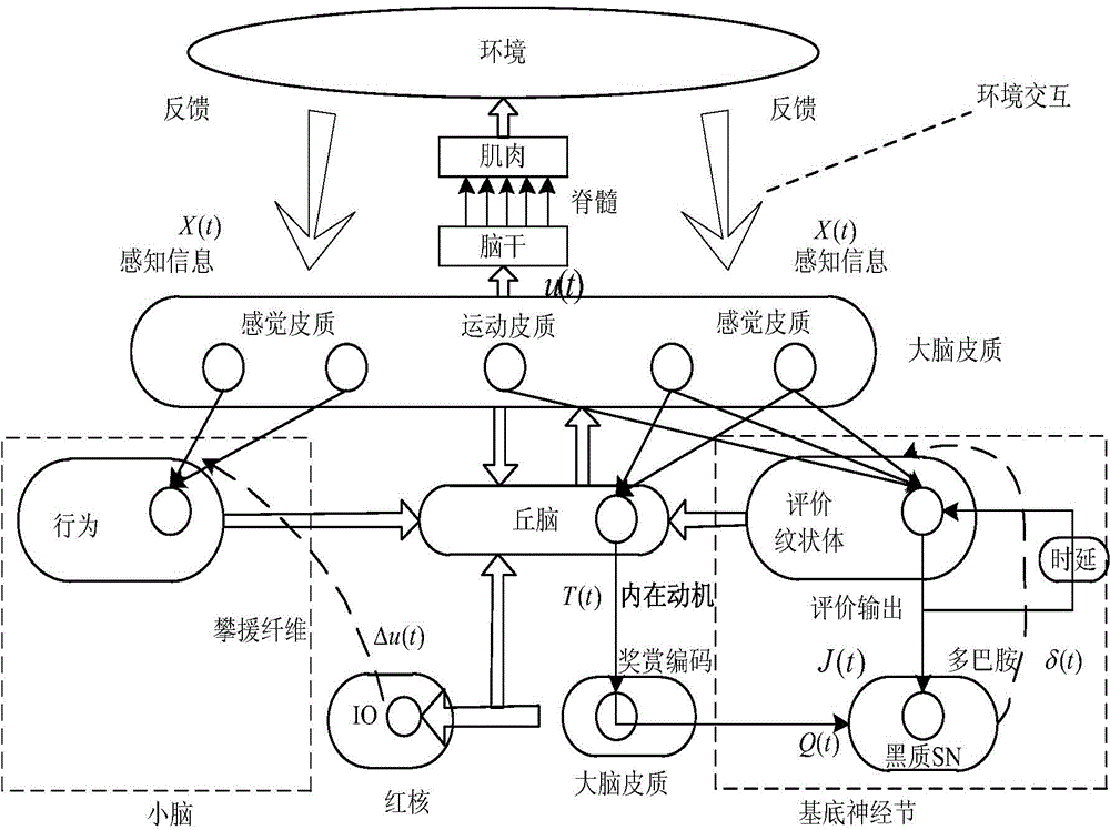 Intrinsic motivation based self-cognition system for motion balance robot and control method