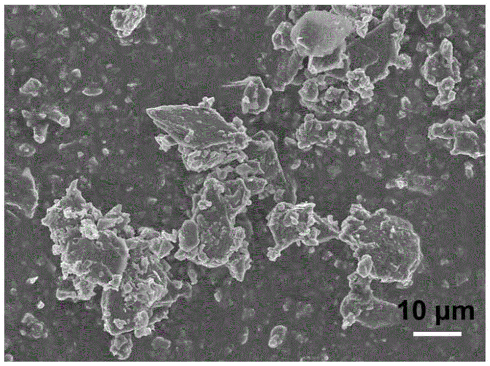 Phosphorus-contained negative electrode composite material and preparation method therefor, and lithium ion battery