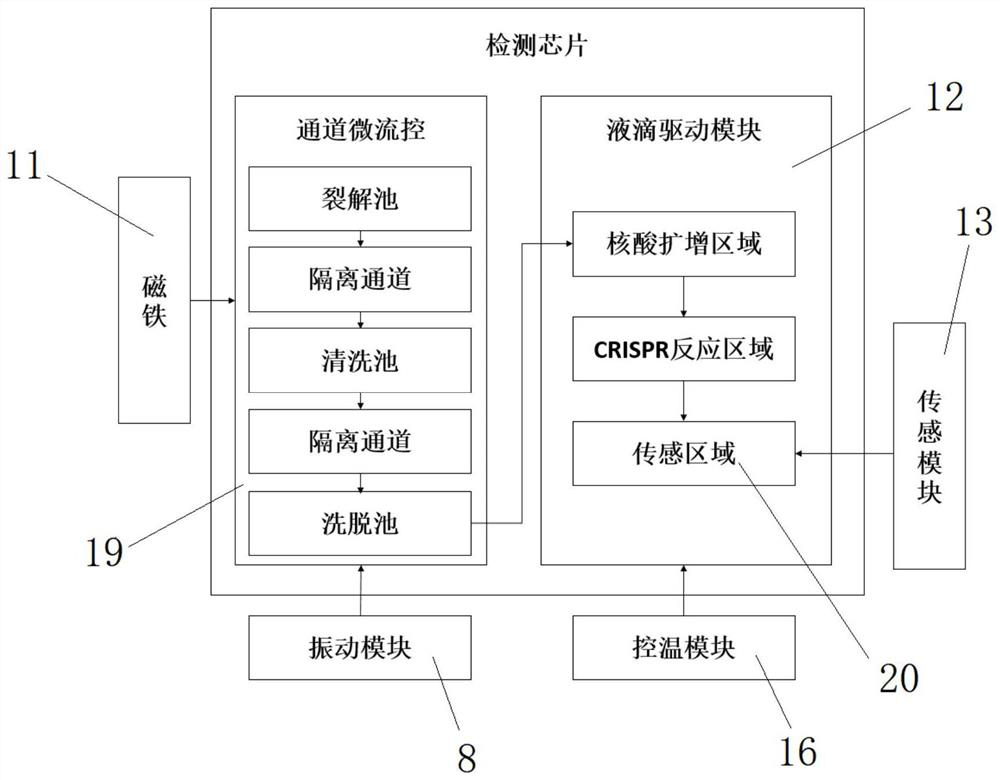 Nucleic acid detection chip and detection method