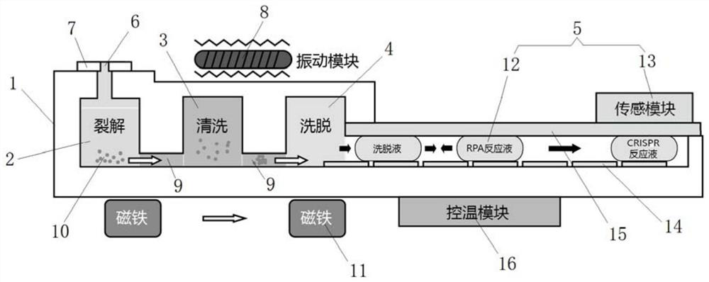 Nucleic acid detection chip and detection method