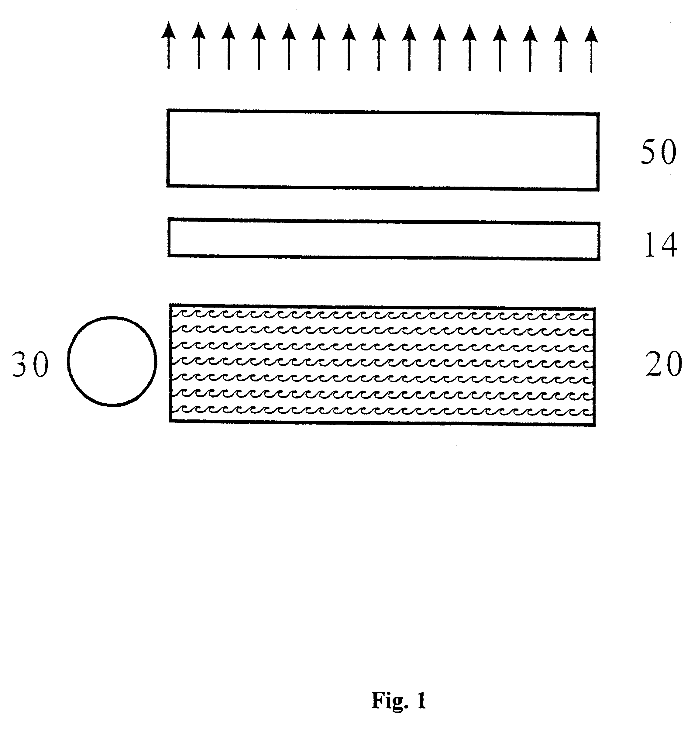 Polarization splitting backlight module