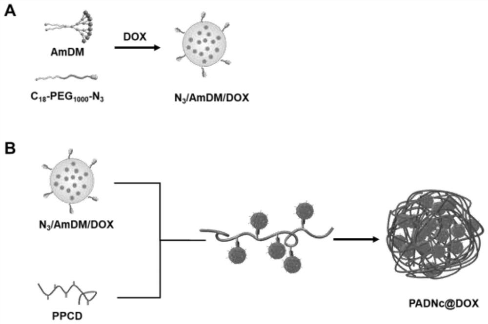 Size-variable intelligent drug-loading nano-cluster system and preparation method and application thereof