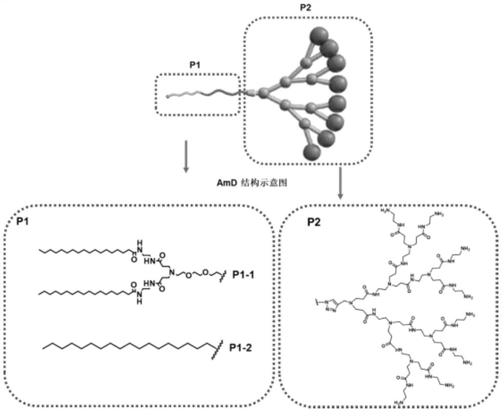 Size-variable intelligent drug-loading nano-cluster system and preparation method and application thereof