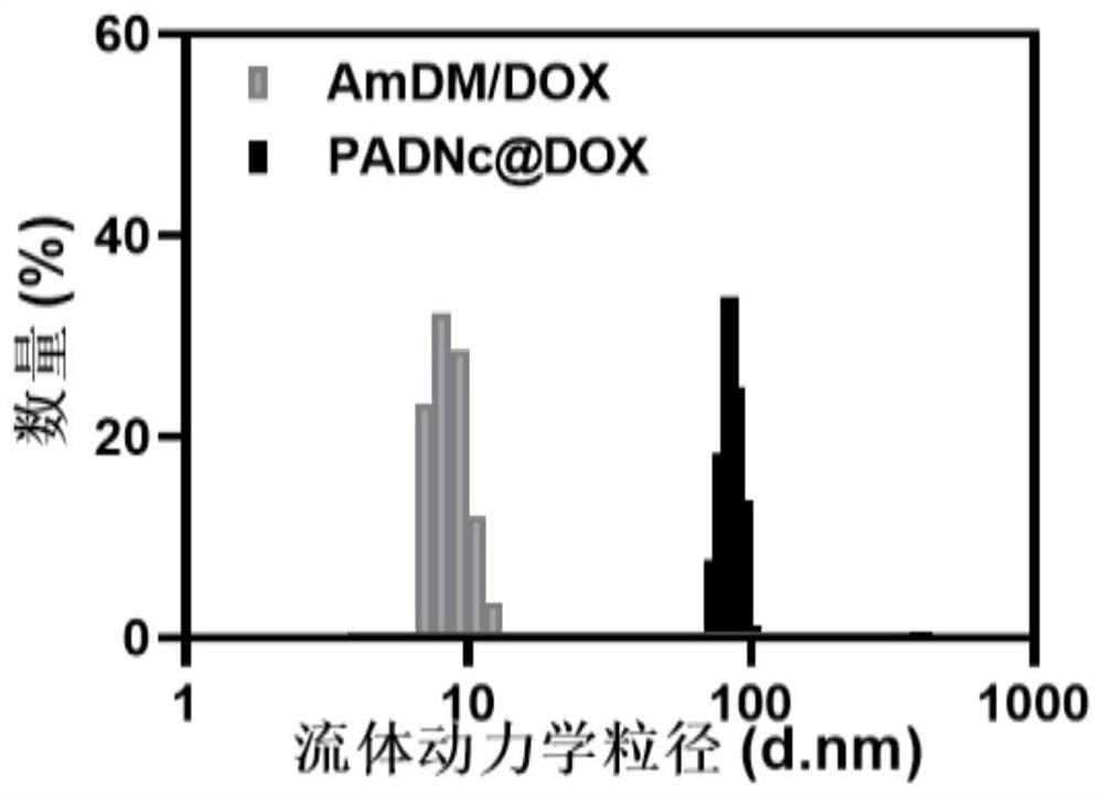 Size-variable intelligent drug-loading nano-cluster system and preparation method and application thereof