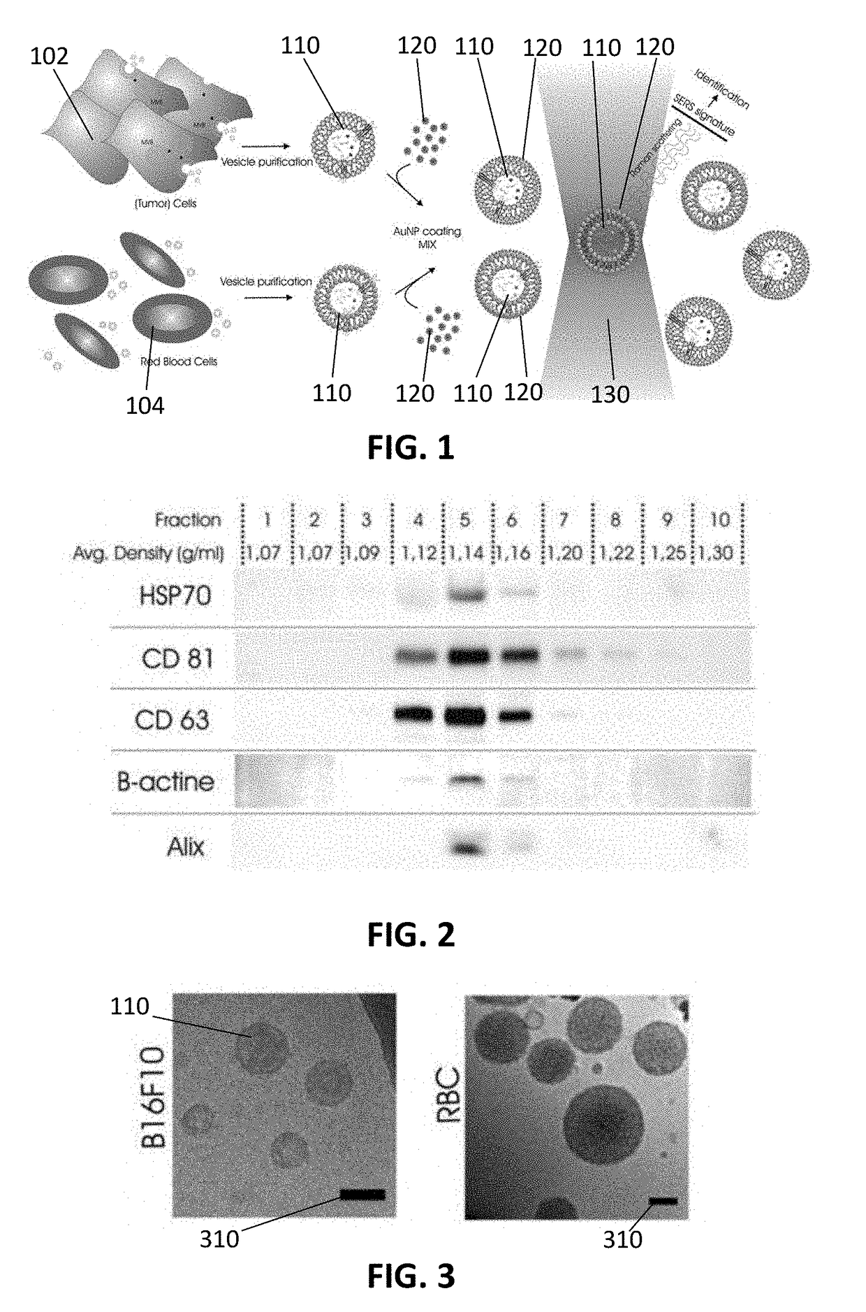 Method and system for characterizing extracellular vesicles