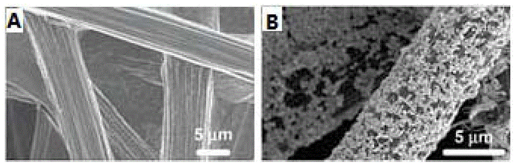 Method for growing carbon nano tube in situ on surface of fiber