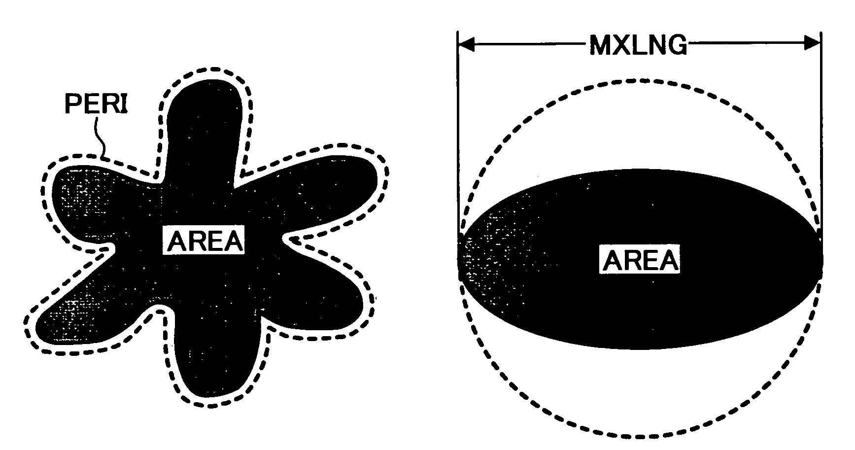 Toner, and two component developer and image forming apparatus using the toner