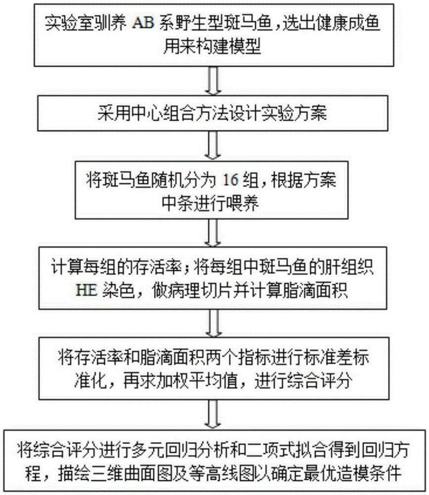 Establishment method for alcoholic fatty liver zebra fish model