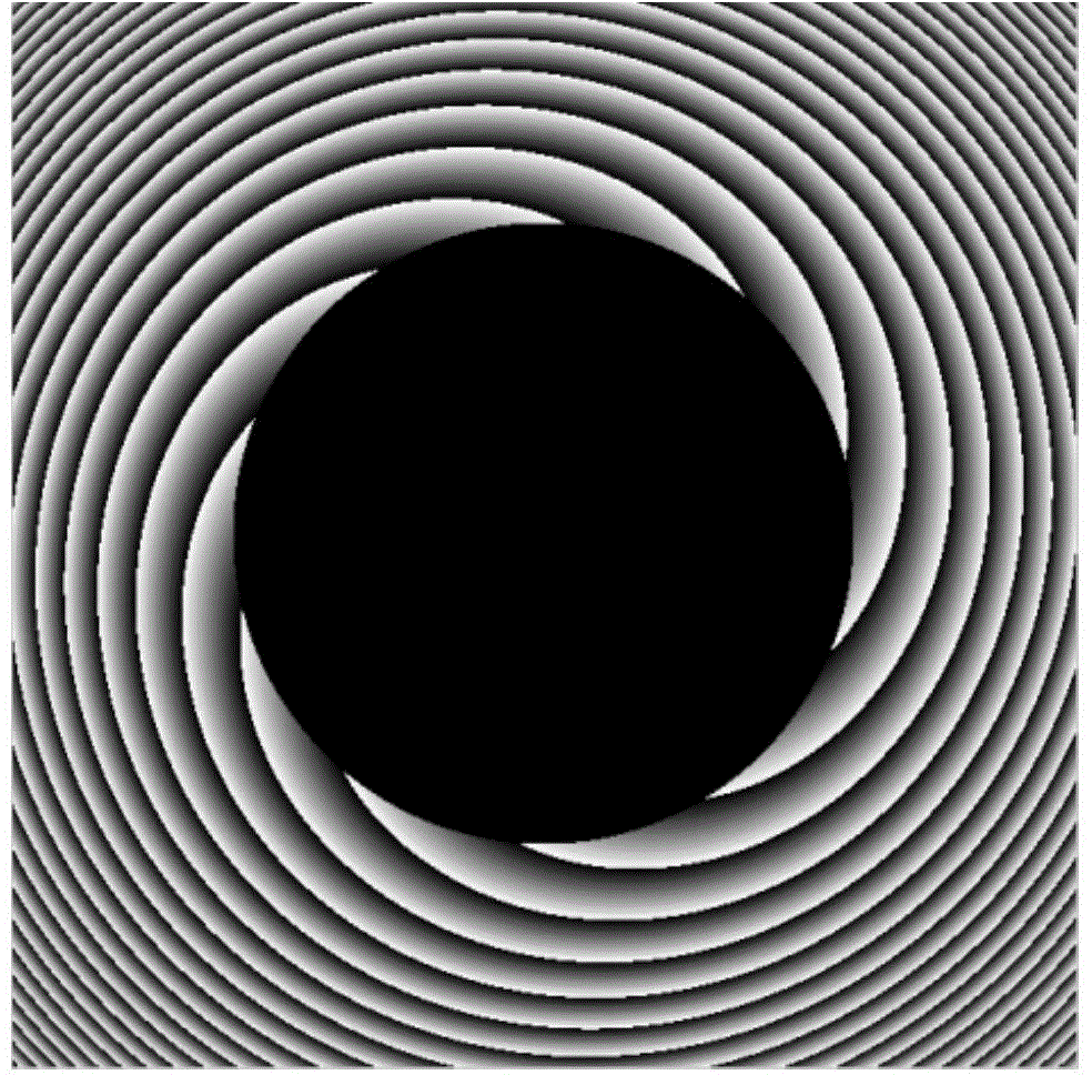 Dark field digital holographic microscopy device based on vortex round airy light illumination and method using device