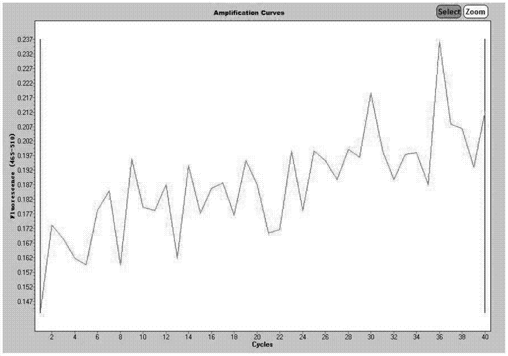 Primer and kit for detecting bacterial aminoglycoside resistance genes