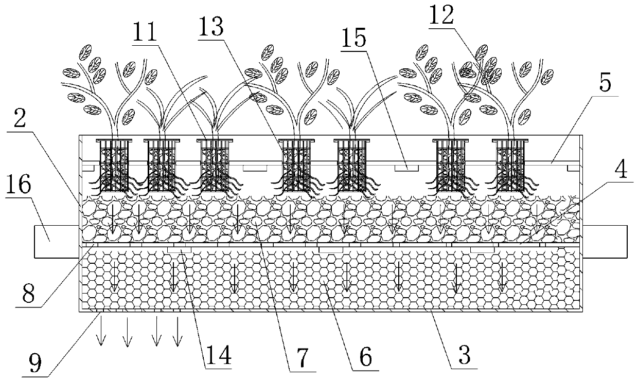 Wetland ecological purification system and construction method thereof