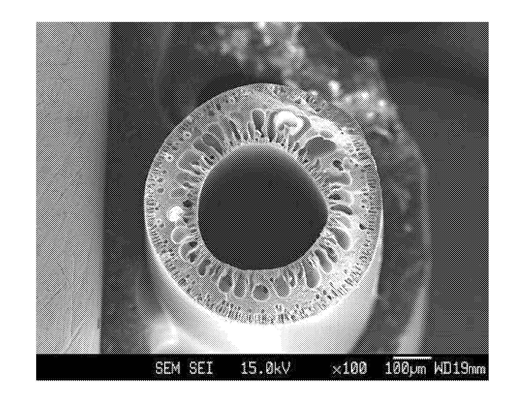 Polyamic acids dope composition, preparation method of hollow fiber using the same and hollow fiber prepared therefrom