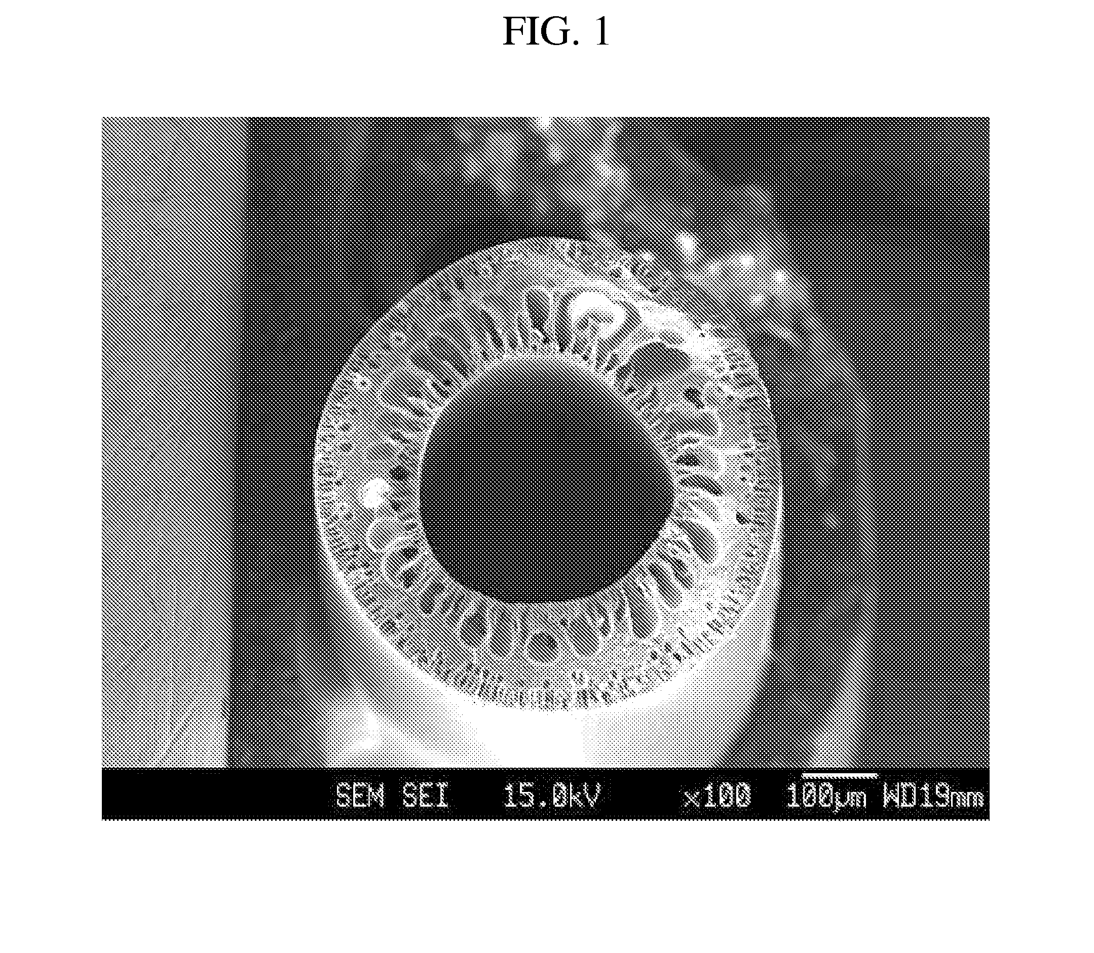 Polyamic acids dope composition, preparation method of hollow fiber using the same and hollow fiber prepared therefrom