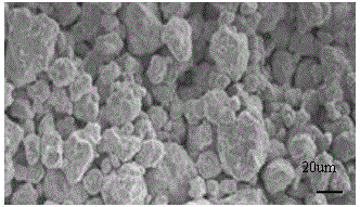 Method for degrading pigment wastewater by utilizing iron-based amorphous alloy activated persulfate