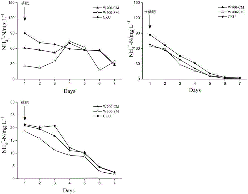 Rice field non-point source pollution emission reducing and rice yield increasing method