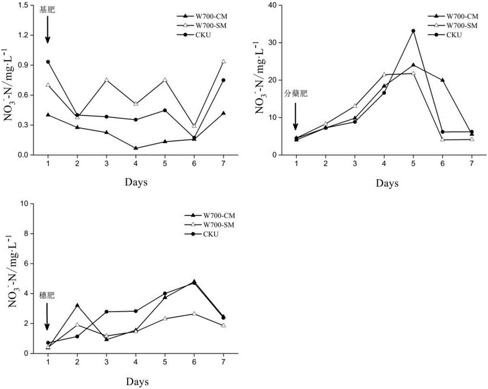 Rice field non-point source pollution emission reducing and rice yield increasing method