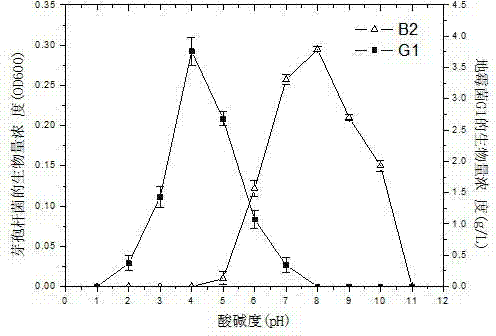 Method for processing hexavalent chromium pollution employing synergistic effects of mixed bacteria