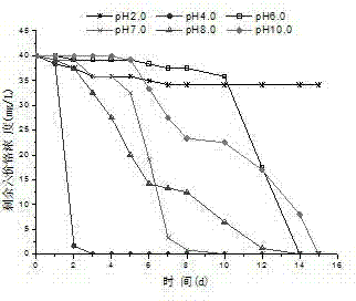 Method for processing hexavalent chromium pollution employing synergistic effects of mixed bacteria