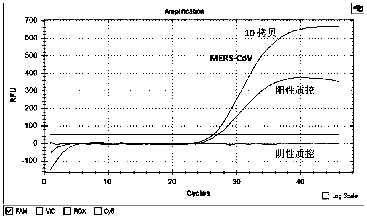 Quadruple fluorescent quantitative detection kit capable of simultaneously detecting four human coronaviruses including 2019-nCoV