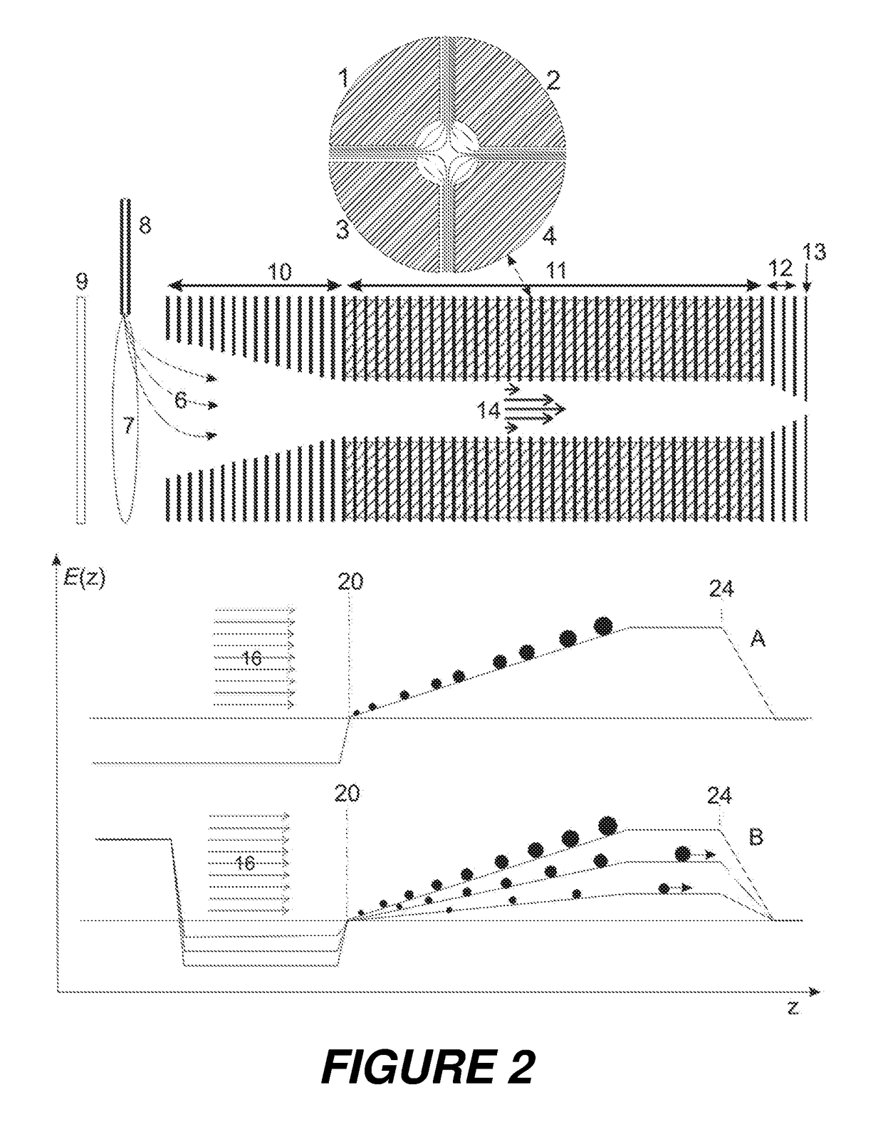 Triple quadrupole mass spectrometry coupled to trapped ion mobility separation