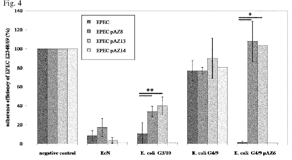 Bacterially formed microcin s, a new antimicrobial peptide, effective against pathogenic microorganisms, e.g. enterohemorrhagic escherichia coli (EHEC)