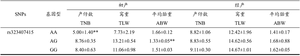 Multi-omics integration accurate pig breeding method