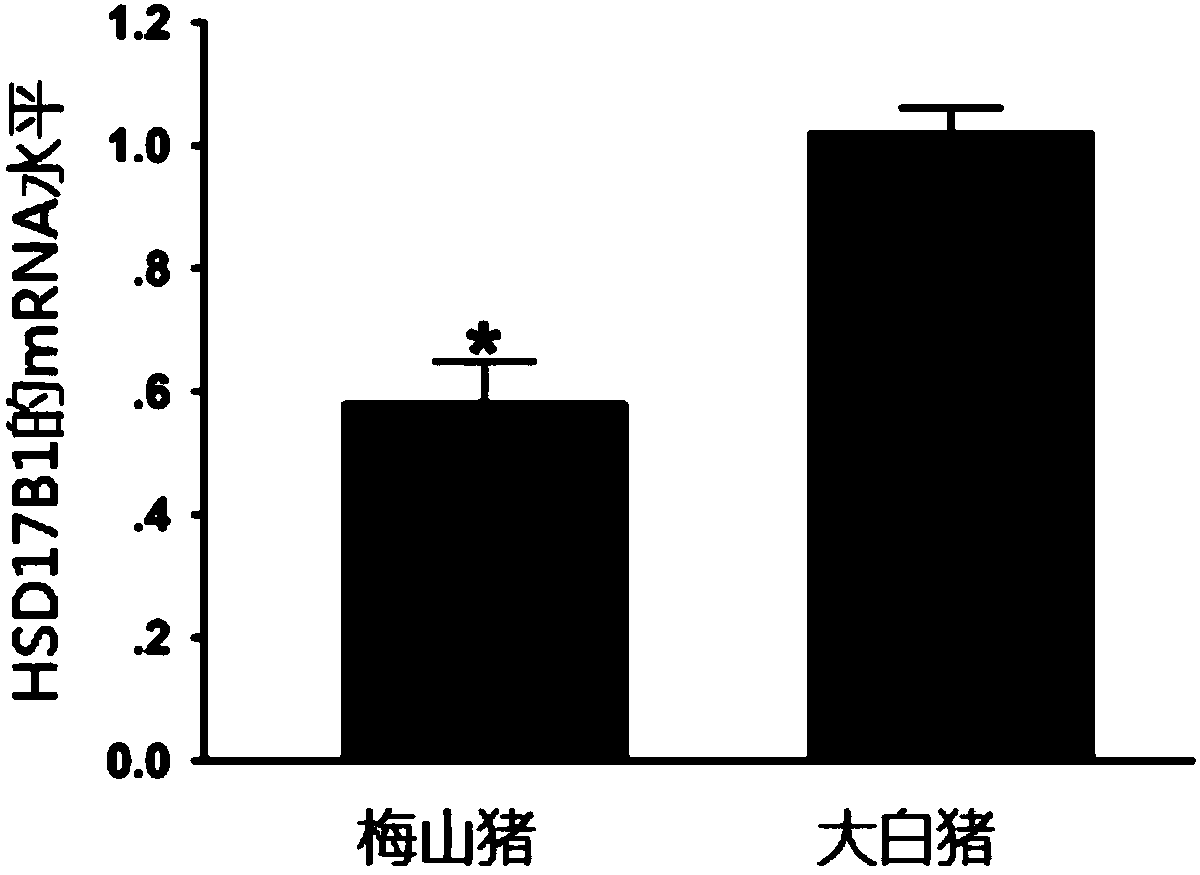 Multi-omics integration accurate pig breeding method