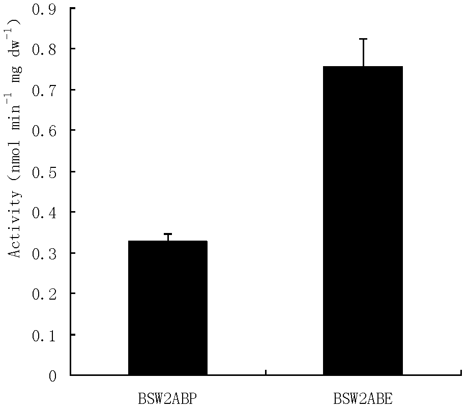 Saccharomyces cerevisiae bacterial strain with high xylose transport capacity and application thereof