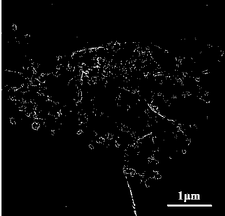 Preparation method of graphite oxide alkene materials in dissymmetrical structure