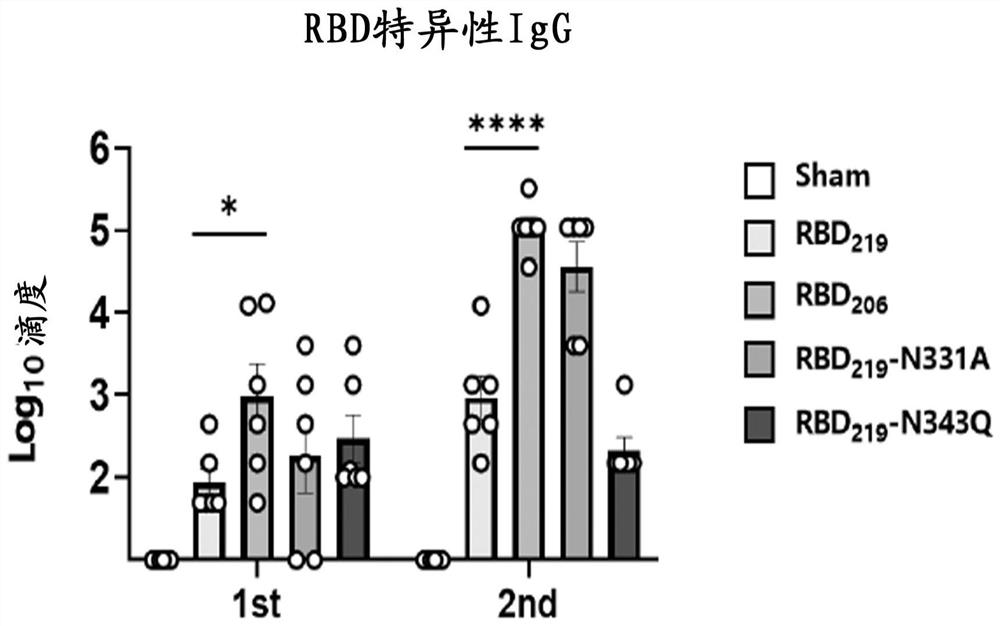 SARS-CoV-2 receptor bind region glycosylation modification antigen and application thereof