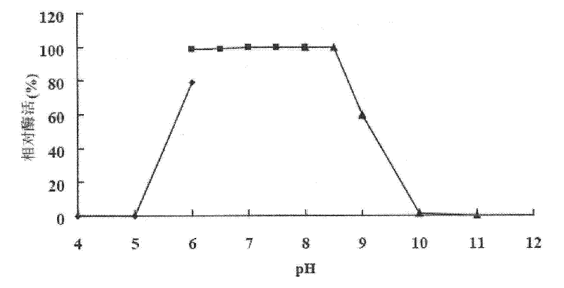 Heat resistant N-acyl-homoserine lactonase AiiA-AI96 as well as coding gene and application thereof