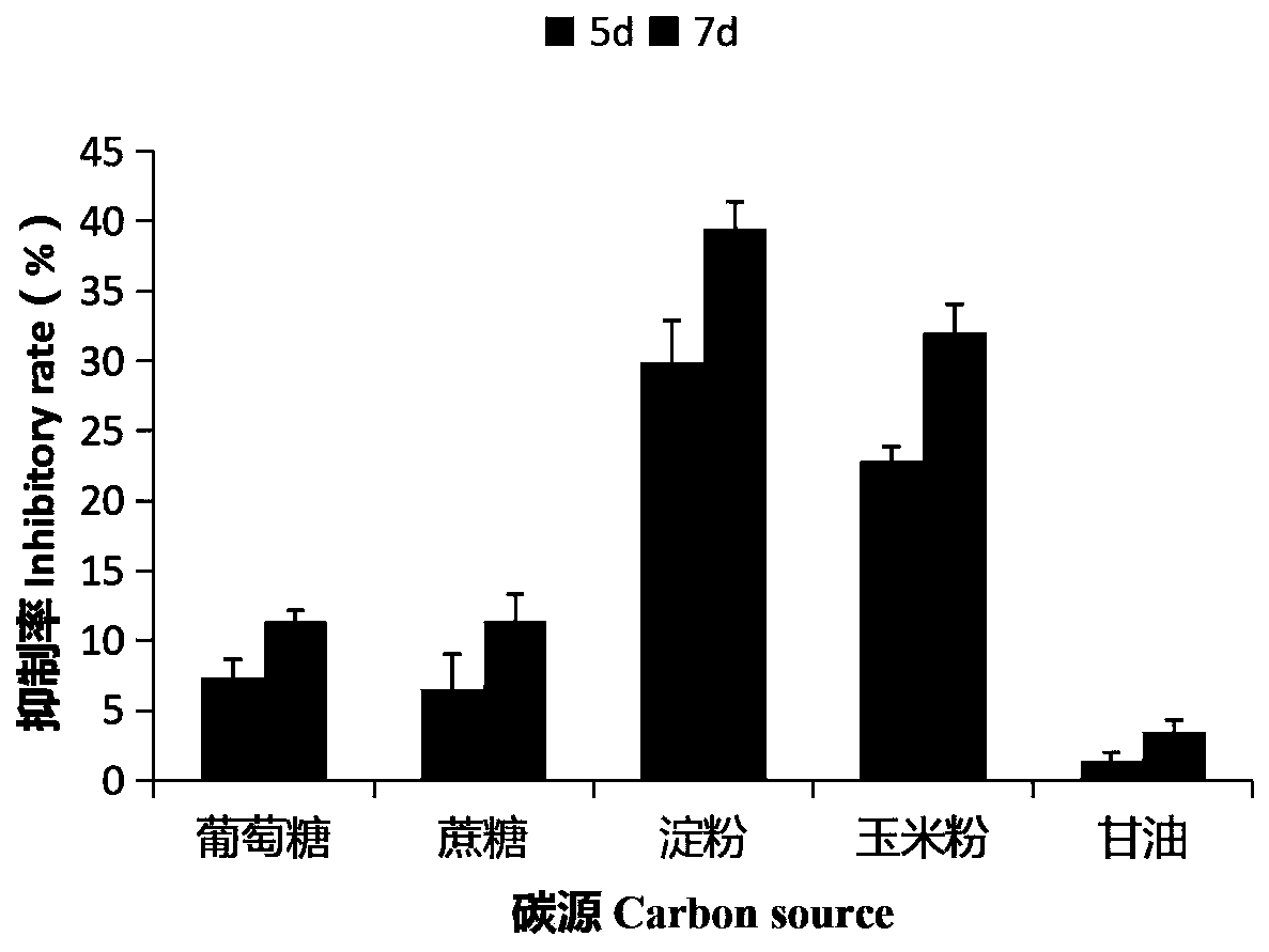 Bacillus atrophaeus E20303 and application thereof