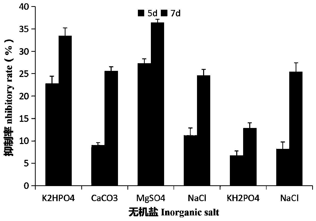 Bacillus atrophaeus E20303 and application thereof