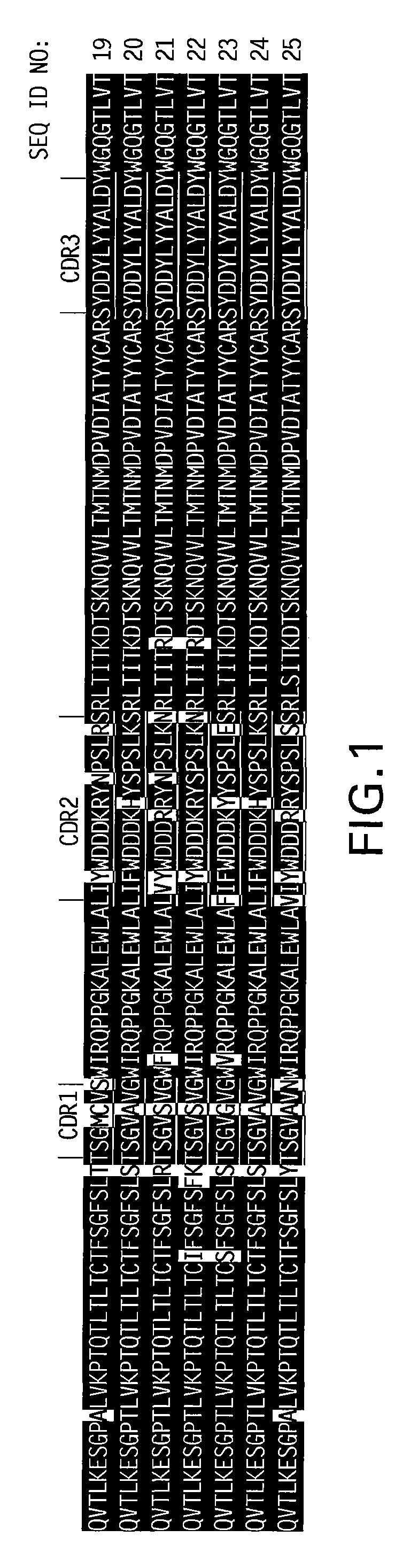 Anti-IL-6 monoclonal antibodies