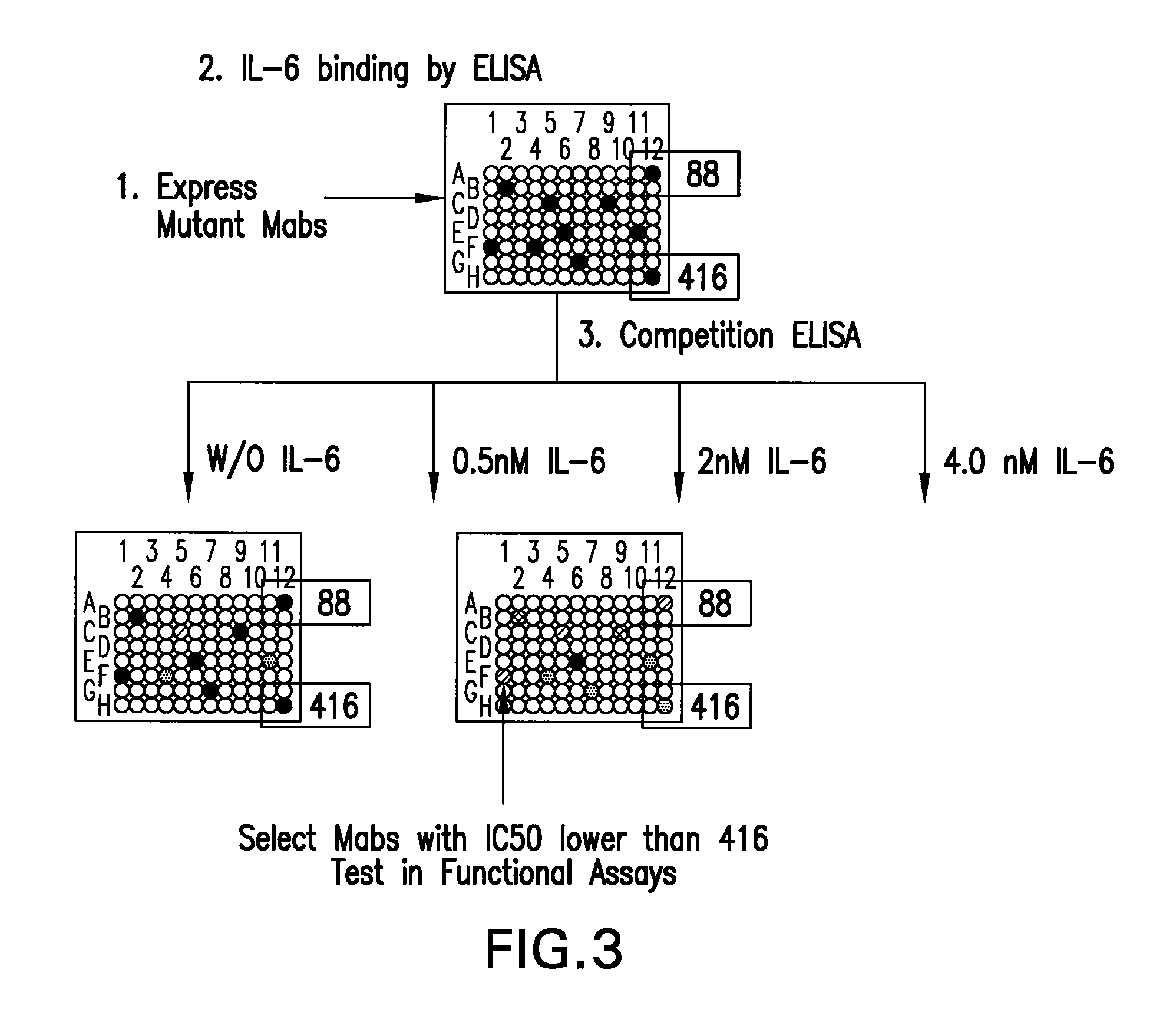 Anti-IL-6 monoclonal antibodies