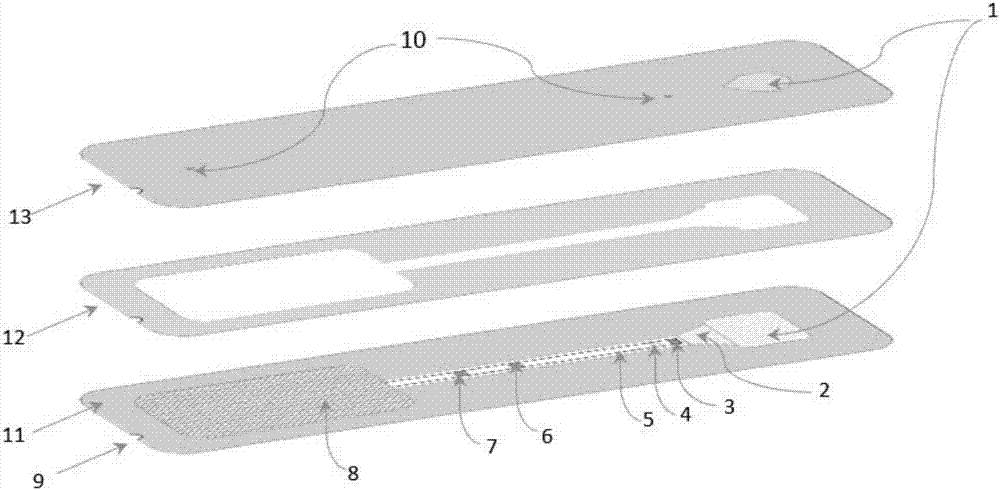 Micro fluidic chip and preparation method and application thereof