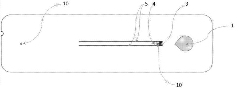 Micro fluidic chip and preparation method and application thereof