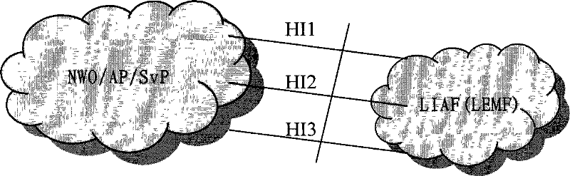 Method and device for realizing internet lawful interception