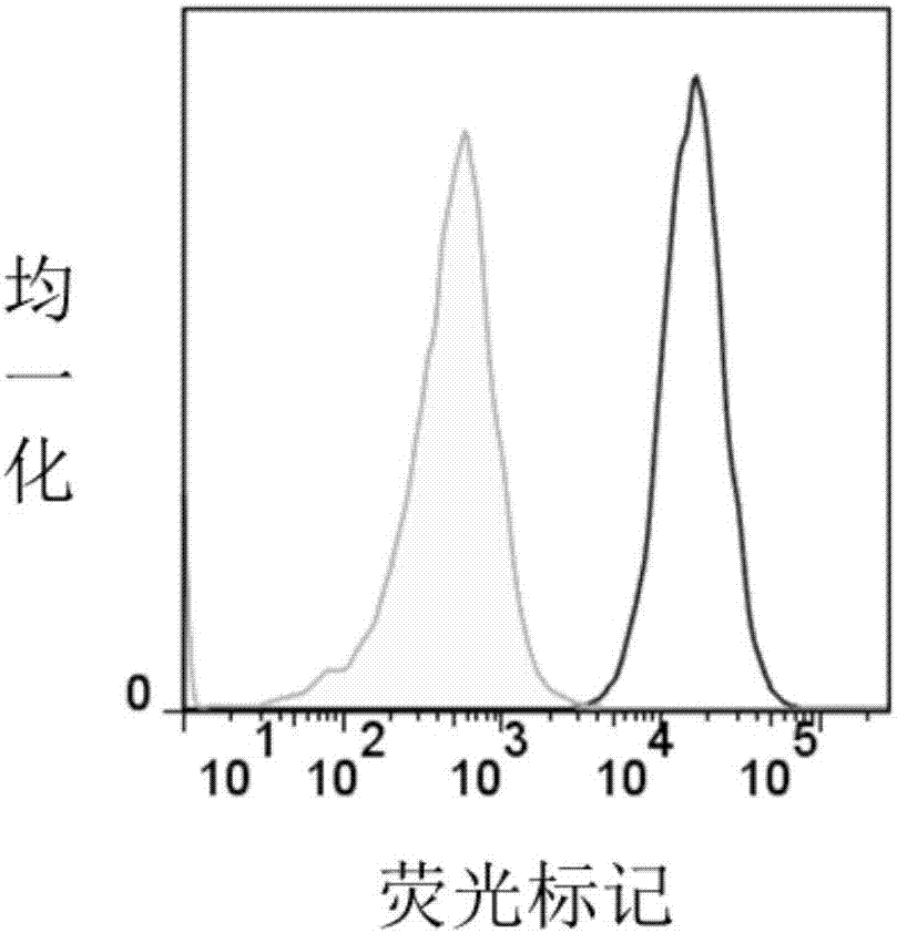 Embedded antigen receptor based on CD30 and application thereof