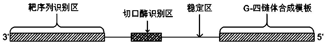 DNA molecular machine and nucleic acid detection method