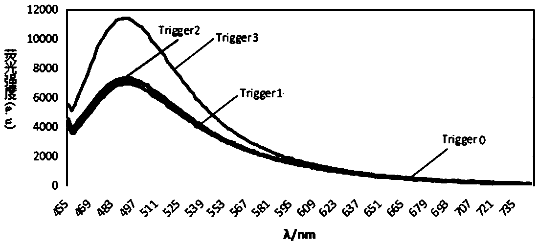 DNA molecular machine and nucleic acid detection method